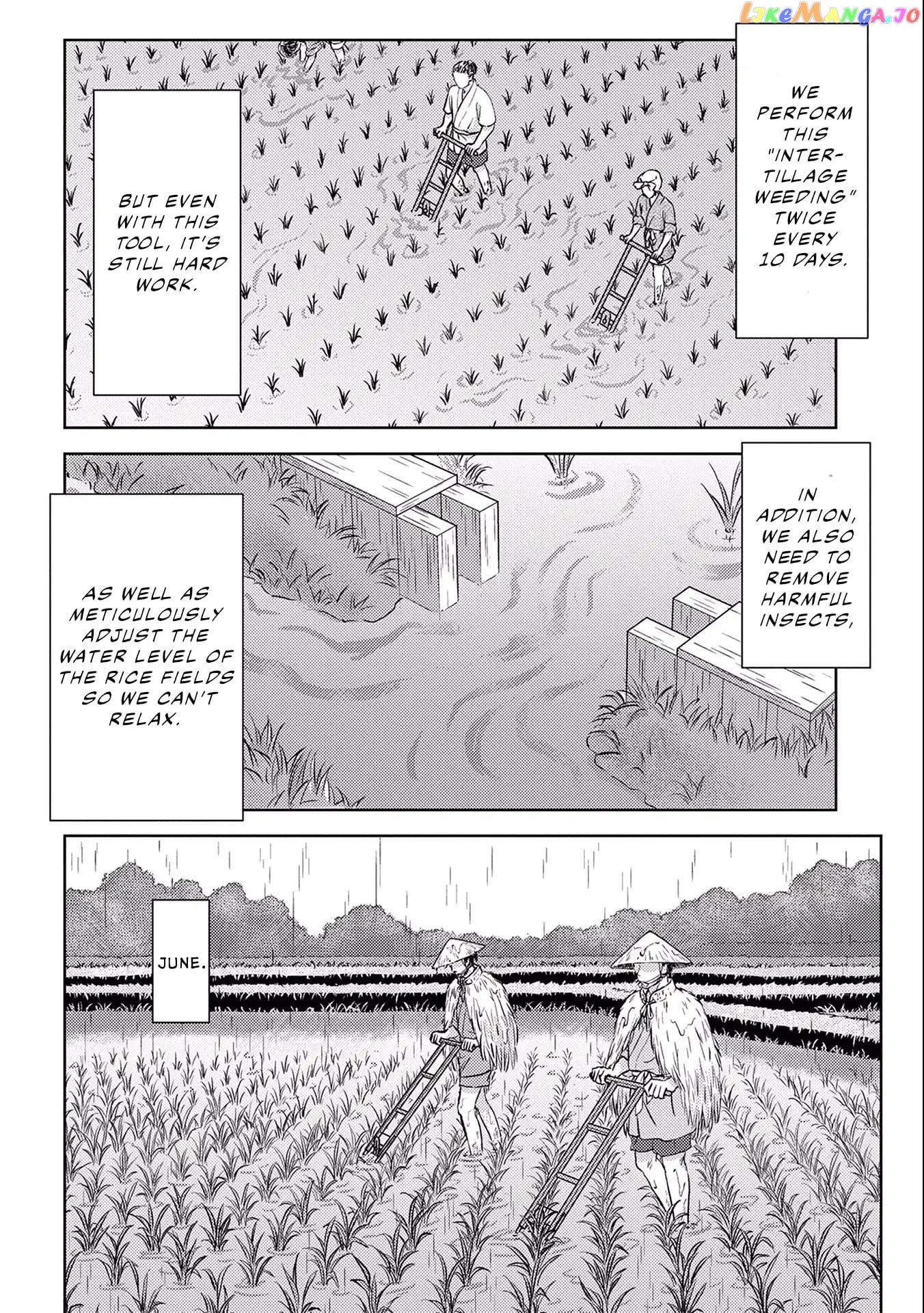 Sengoku Komachi Kurou Tan! chapter 6 - page 33