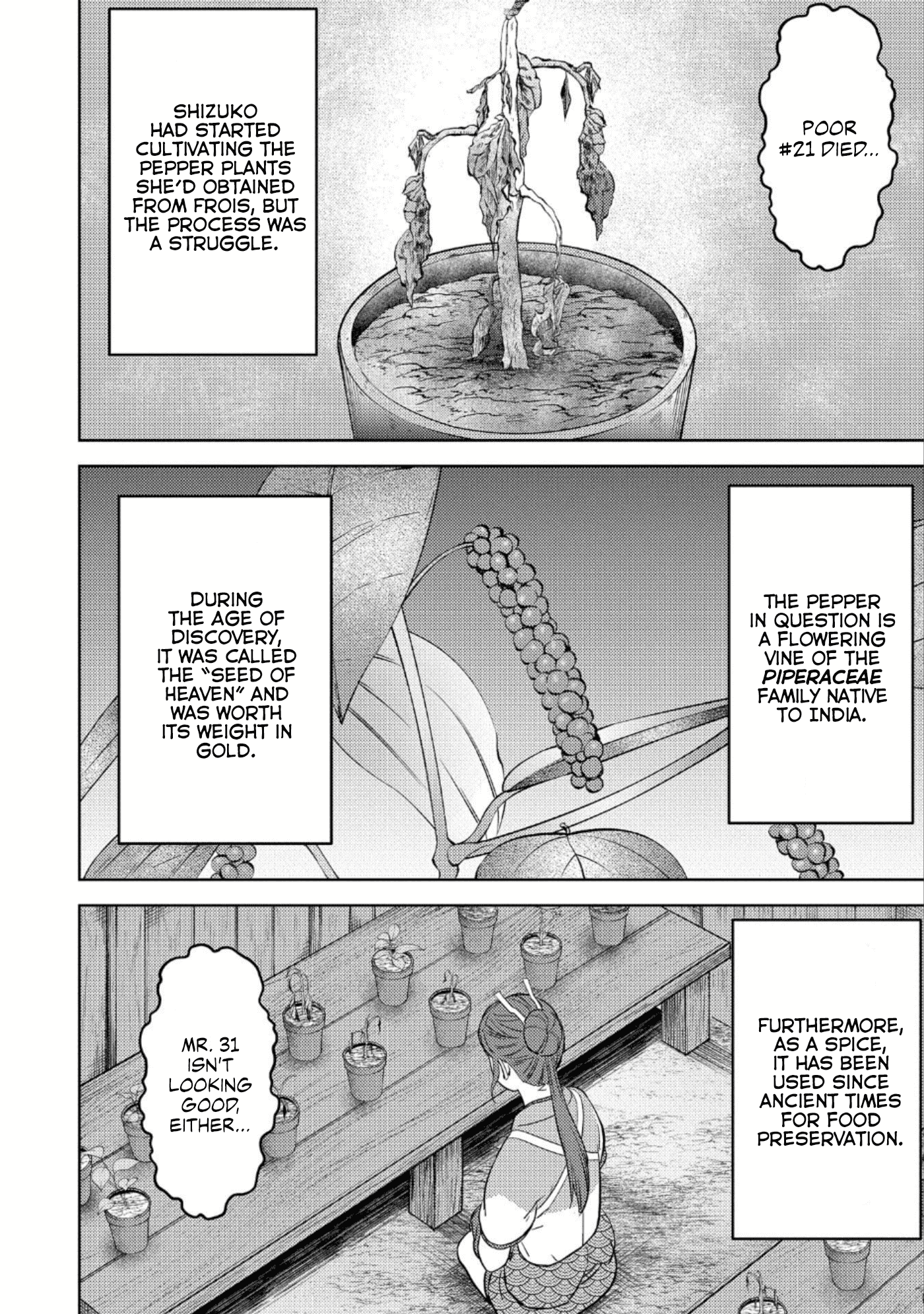 Sengoku Komachi Kurou Tan! chapter 44 - page 3
