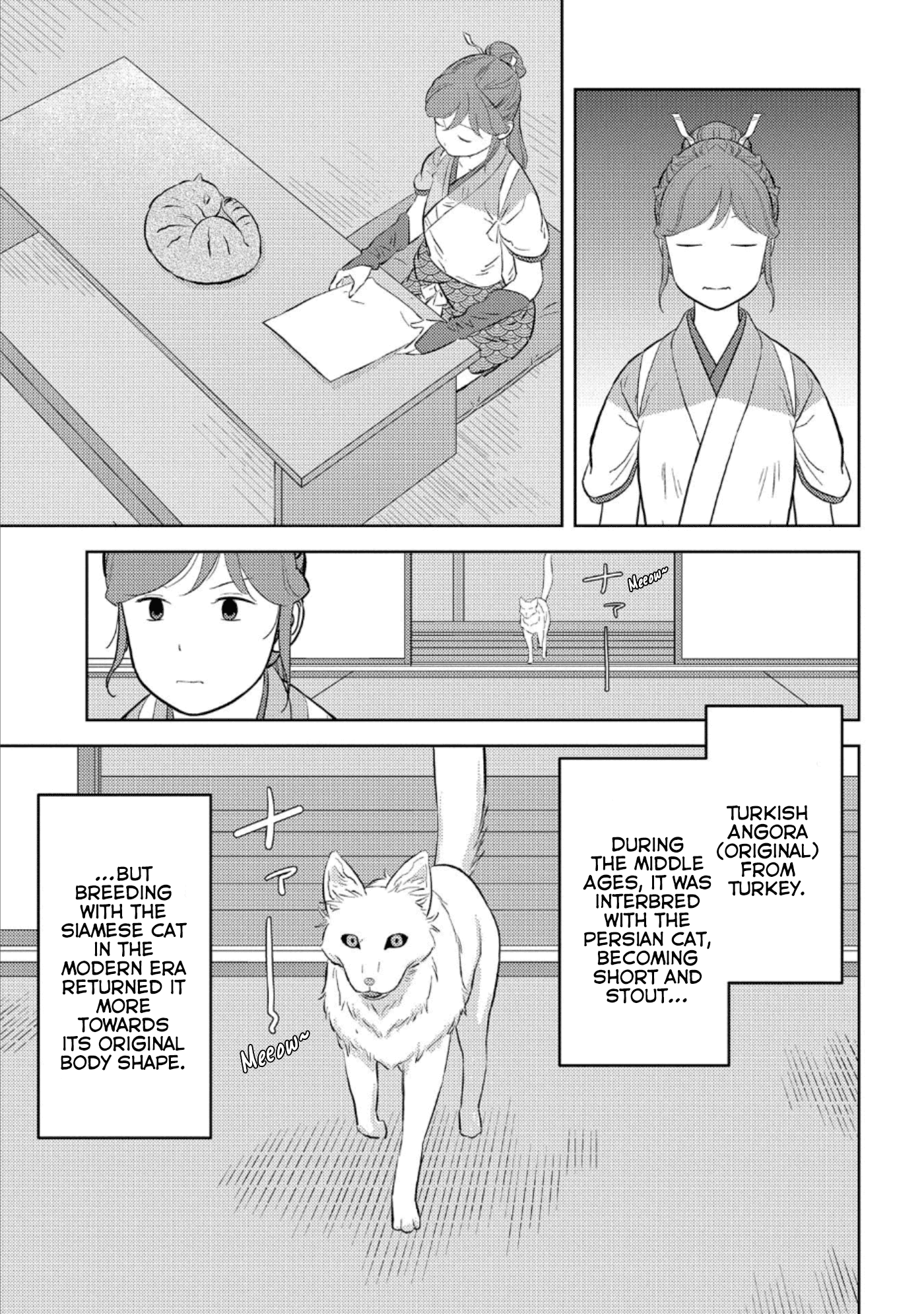 Sengoku Komachi Kurou Tan! chapter 57 - page 15