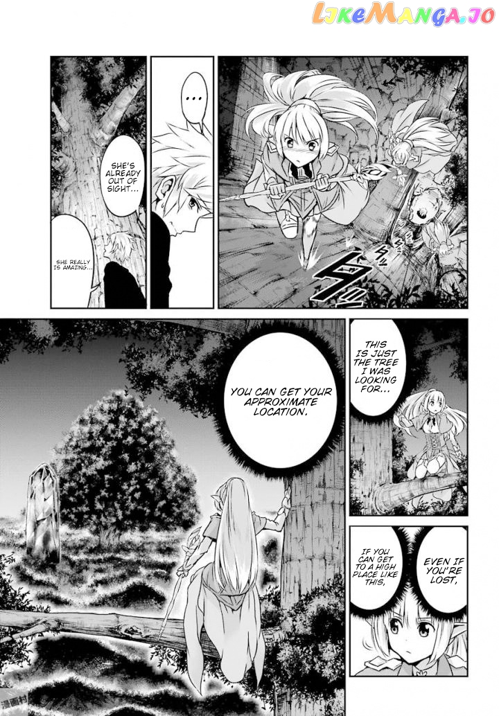 Dungeon Ni Deai O Motomeru No Wa Machigatte Iru Darou Ka Gaiden – Sword Oratoria chapter 46 - page 15