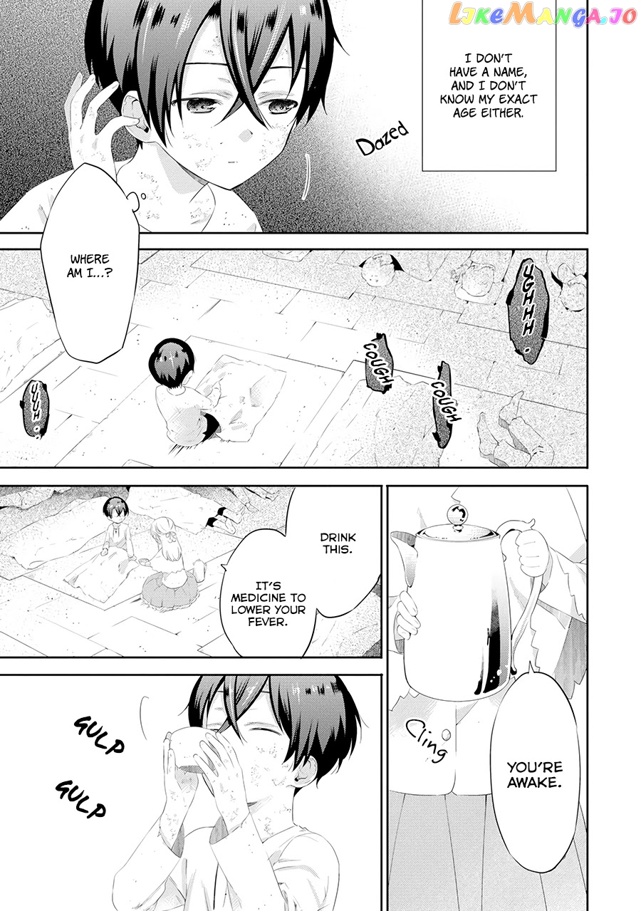 It Seems My Lady Is The Villainess With Only A Bad End, So I’m Thinking Of Saving Her chapter 1 - page 15