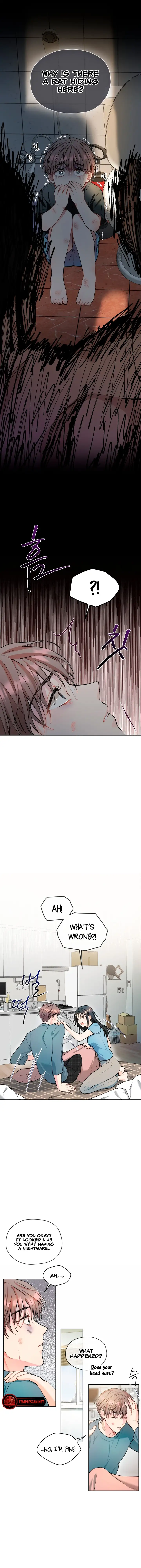 There's A Rat In Our House Chapter 6 - page 5