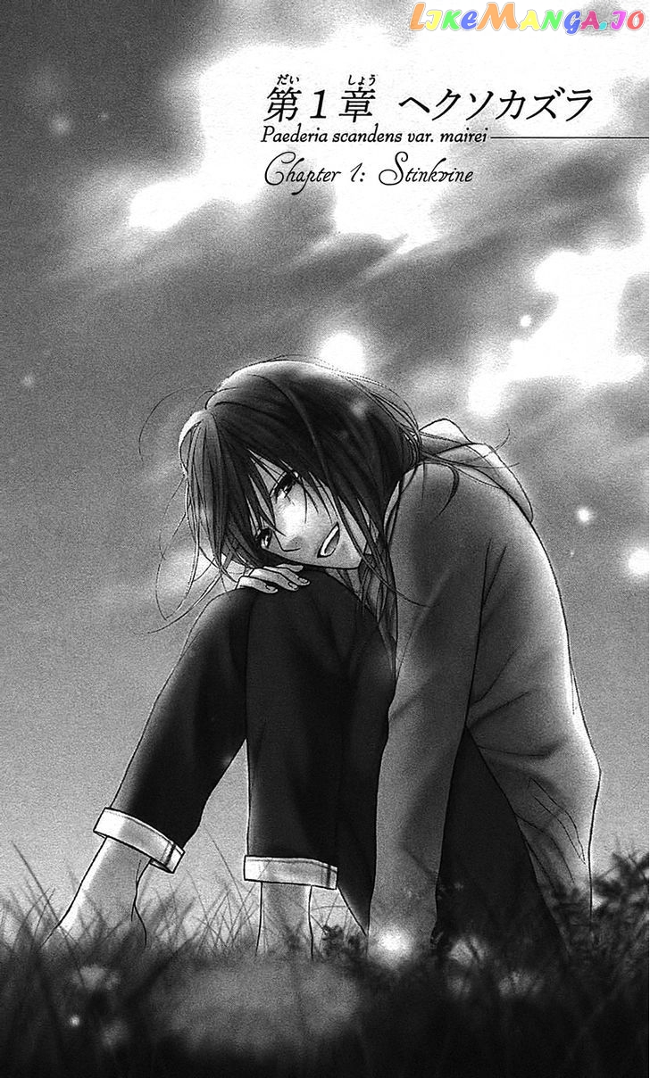 Shokubutsu Zukan (TSUTSUMI Kakeru) chapter 1 - page 6