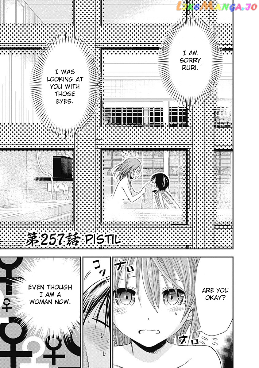 Minamoto-Kun Monogatari chapter 257 - page 2