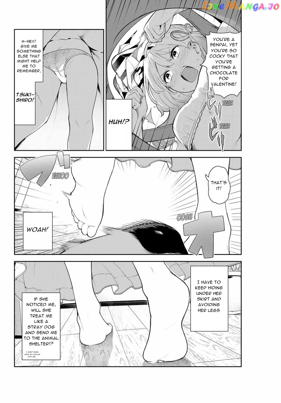 Inu Ni Nattara Suki Na Hito Ni Hirowareta chapter 8 - page 4