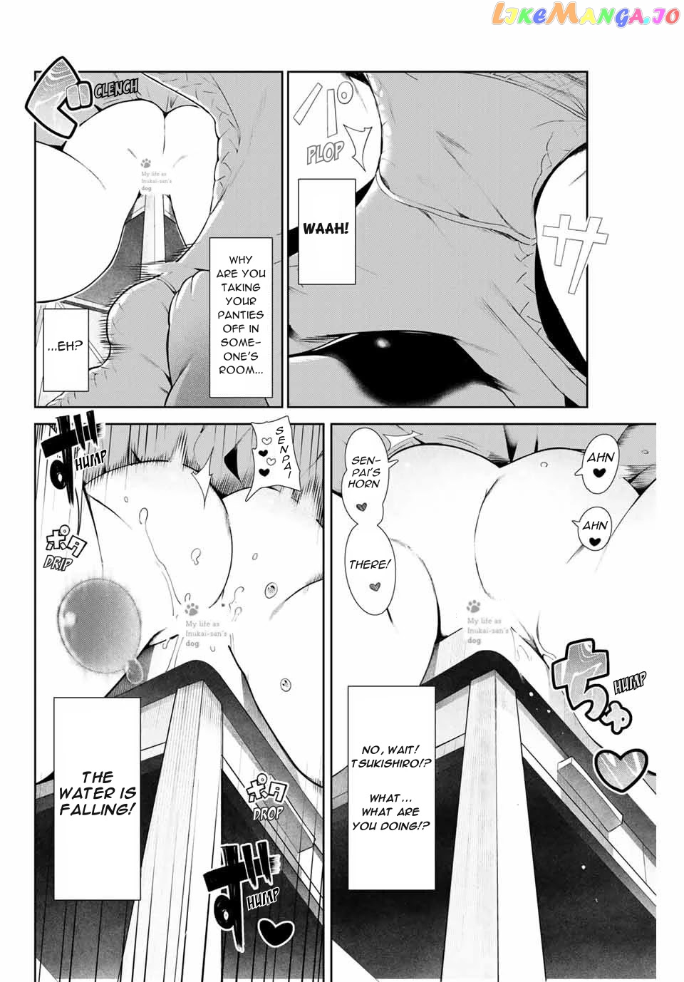 Inu Ni Nattara Suki Na Hito Ni Hirowareta chapter 8 - page 8