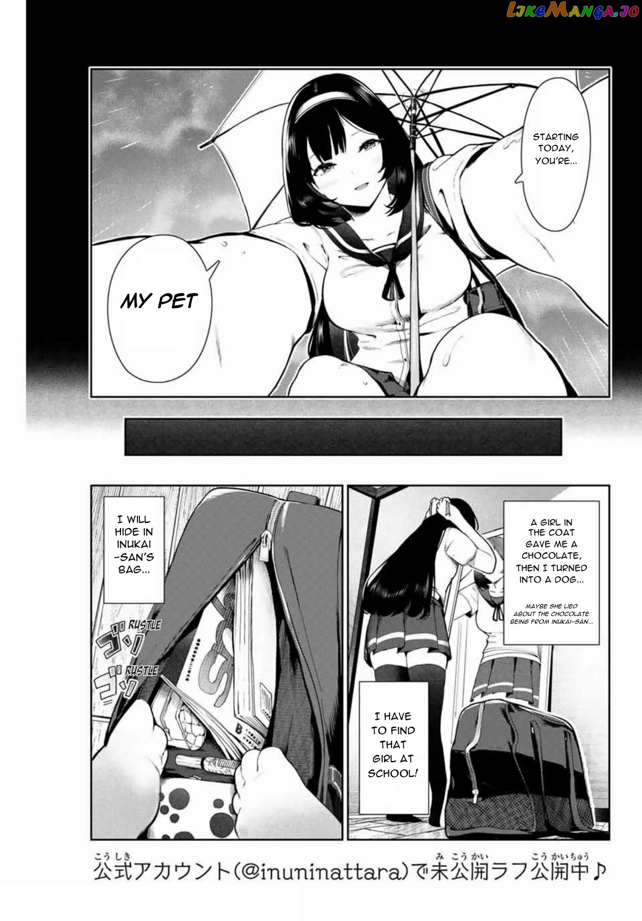 Inu Ni Nattara Suki Na Hito Ni Hirowareta chapter 11 - page 3