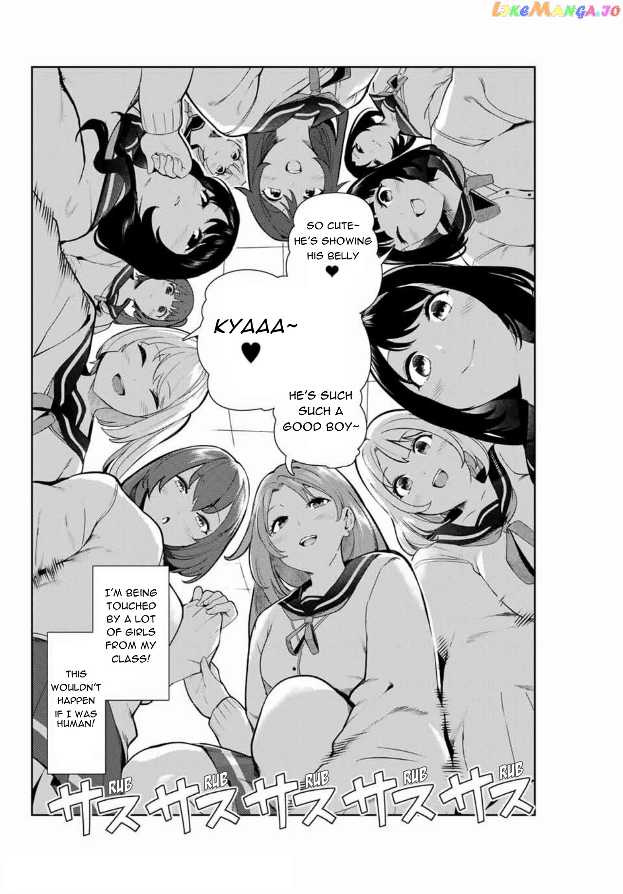 Inu Ni Nattara Suki Na Hito Ni Hirowareta chapter 12 - page 4