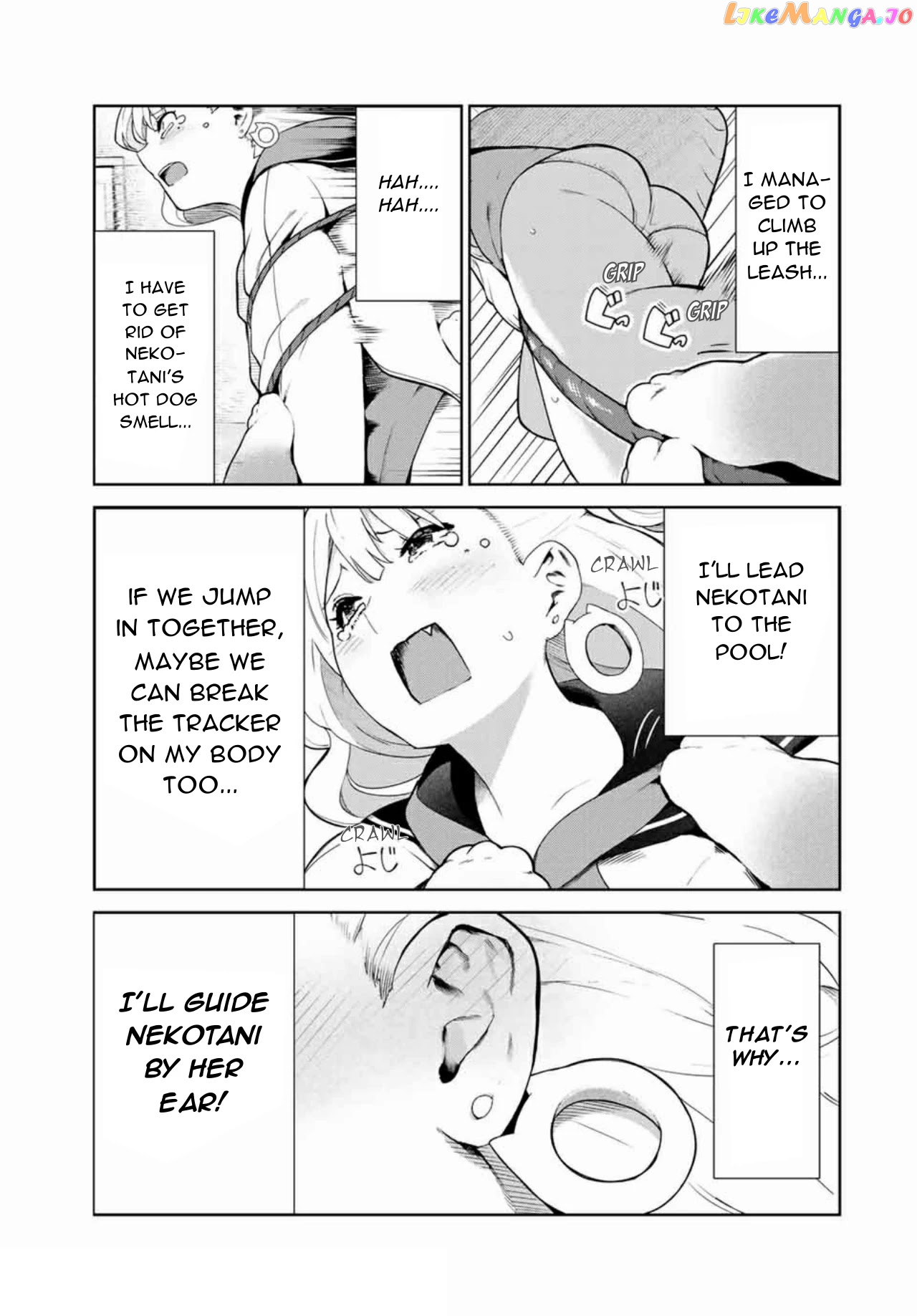 Inu Ni Nattara Suki Na Hito Ni Hirowareta chapter 14 - page 3