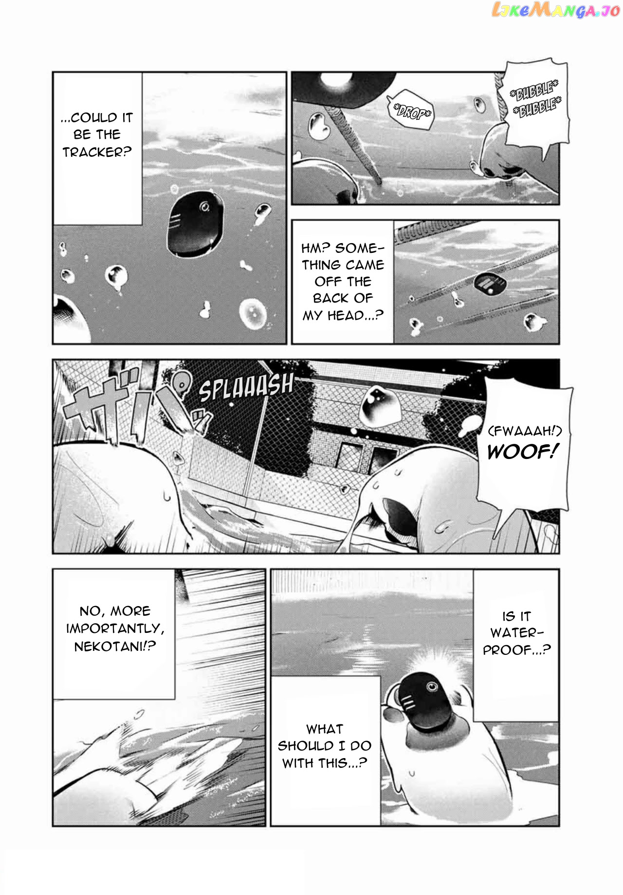 Inu Ni Nattara Suki Na Hito Ni Hirowareta chapter 14 - page 6