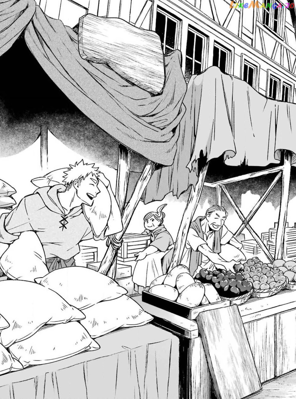 Vermeil In Gold - A Magician Pushes Through The Magical World With The Strongest Disaster chapter 16 - page 8