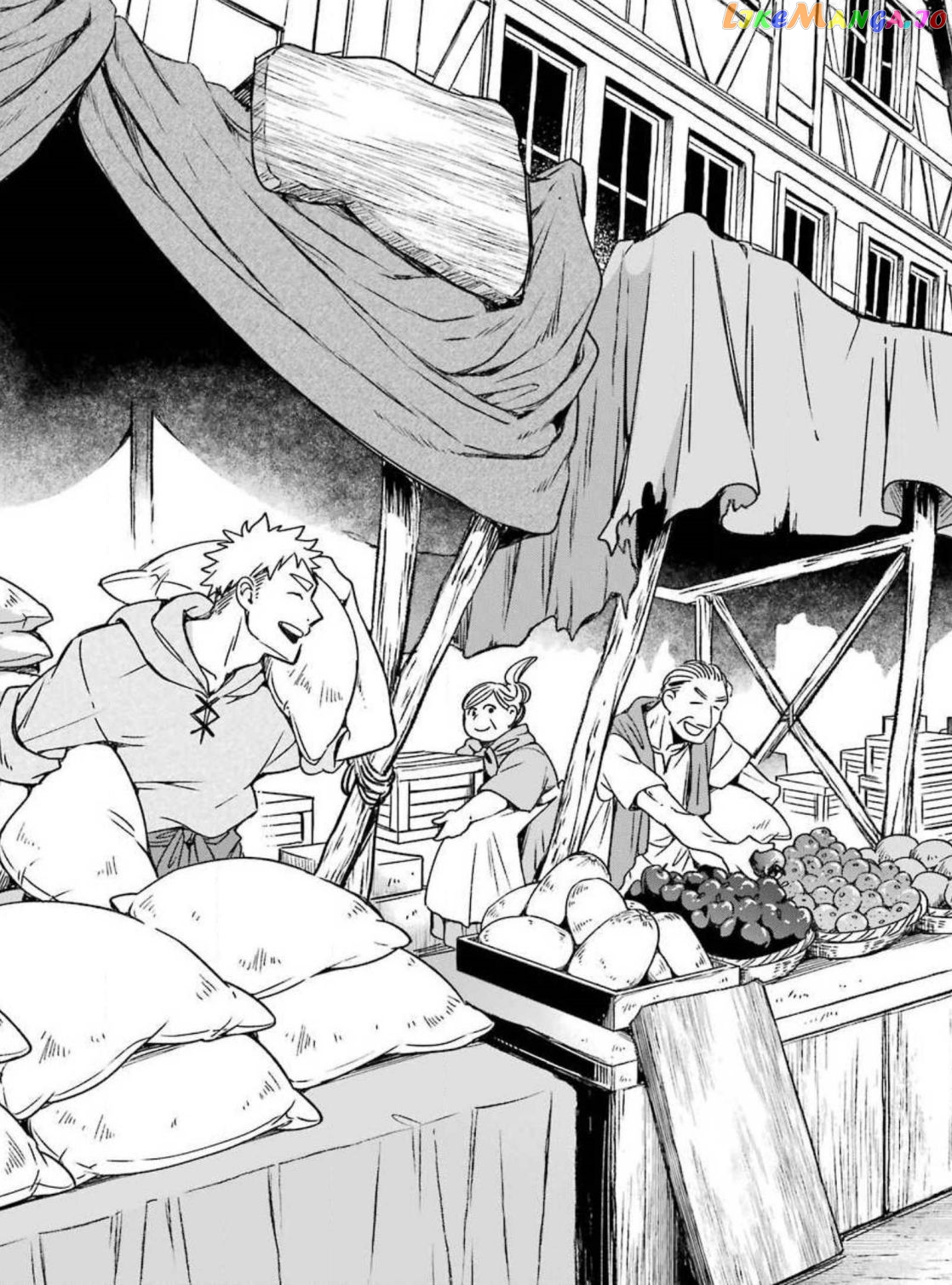 Vermeil In Gold - A Magician Pushes Through The Magical World With The Strongest Disaster chapter 16.1 - page 8