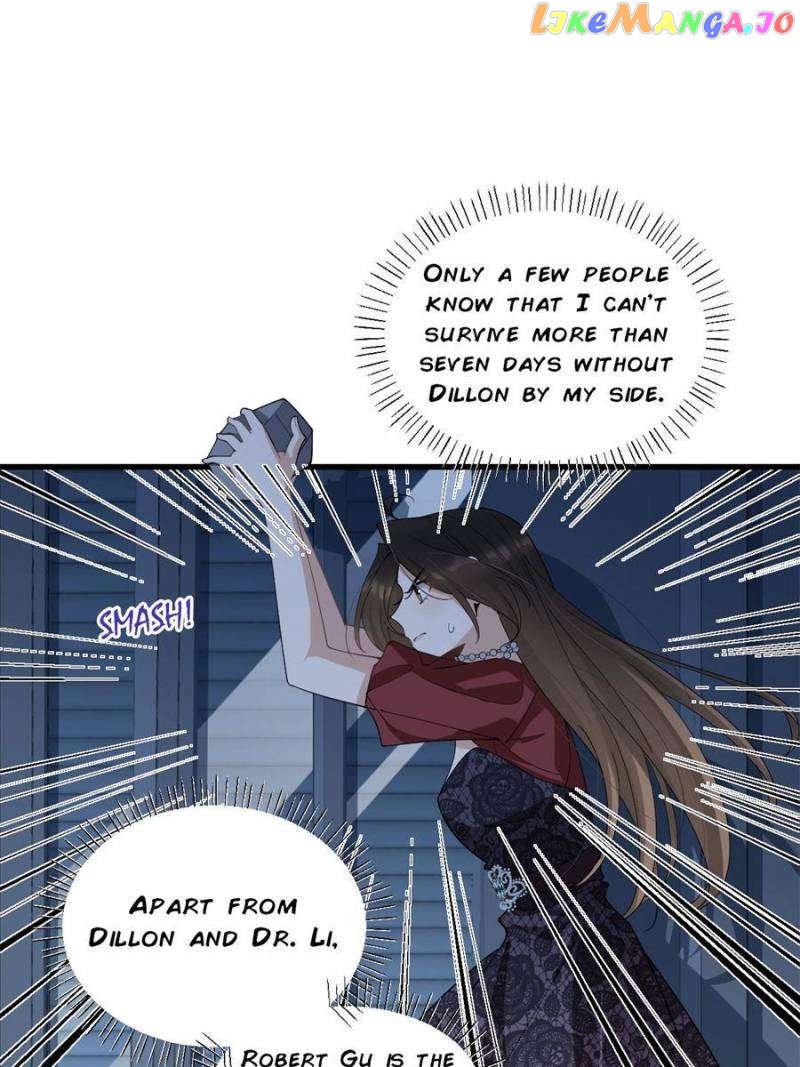 Hey Boss, I Am Your New Wife Chapter 186 - page 1