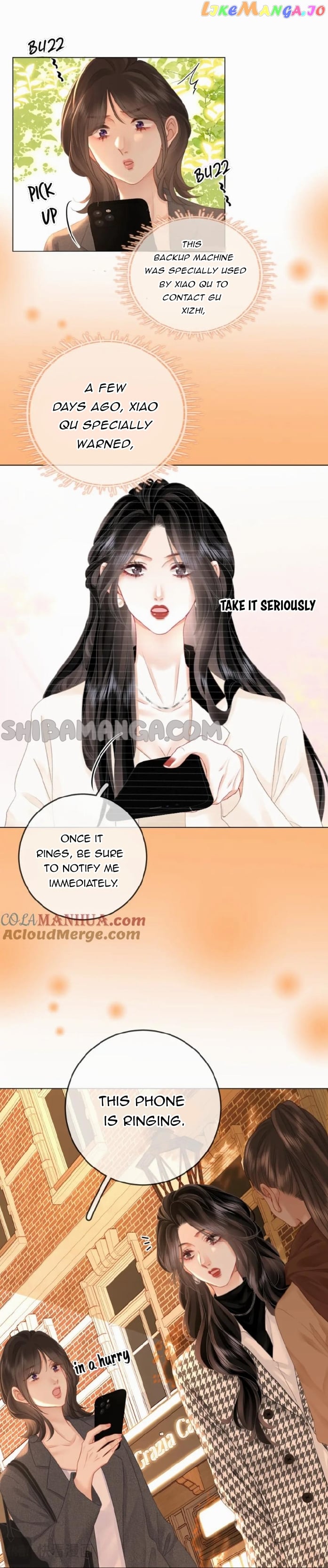 Twin Flames Of Destiny Chapter 72 - page 12