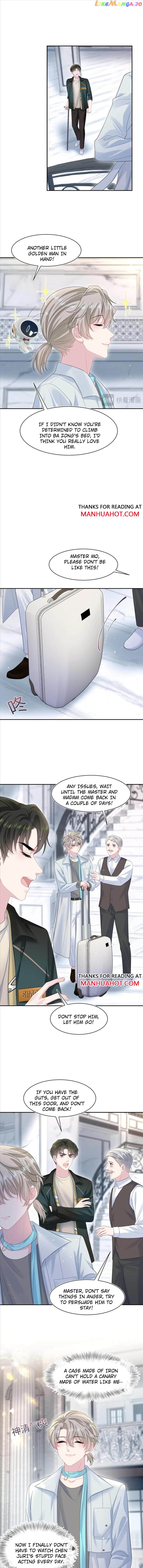 Brilliantly Beautiful White Lotus Teaching Online Chapter 252 - page 3