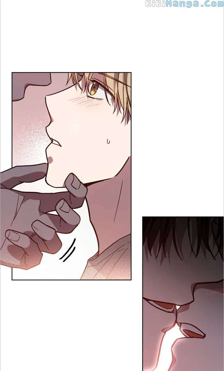 A Trace of the Wonder Chapter 78 - page 8