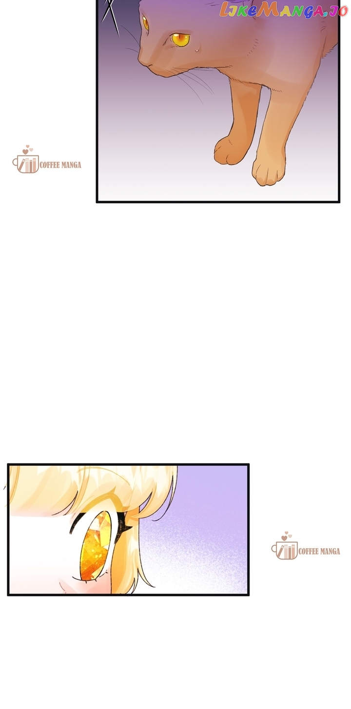 Princess in the Rough Chapter 73 - page 31
