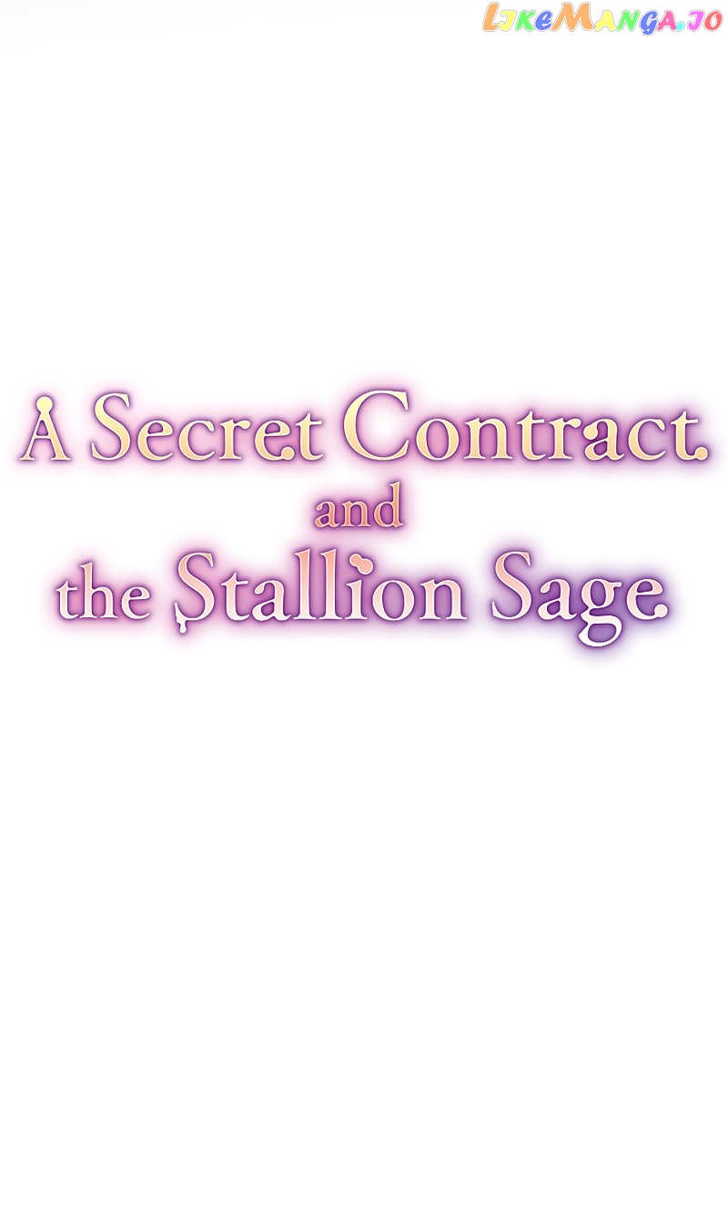 A Secret Contract and the Stallion Sage Chapter 13 - page 15