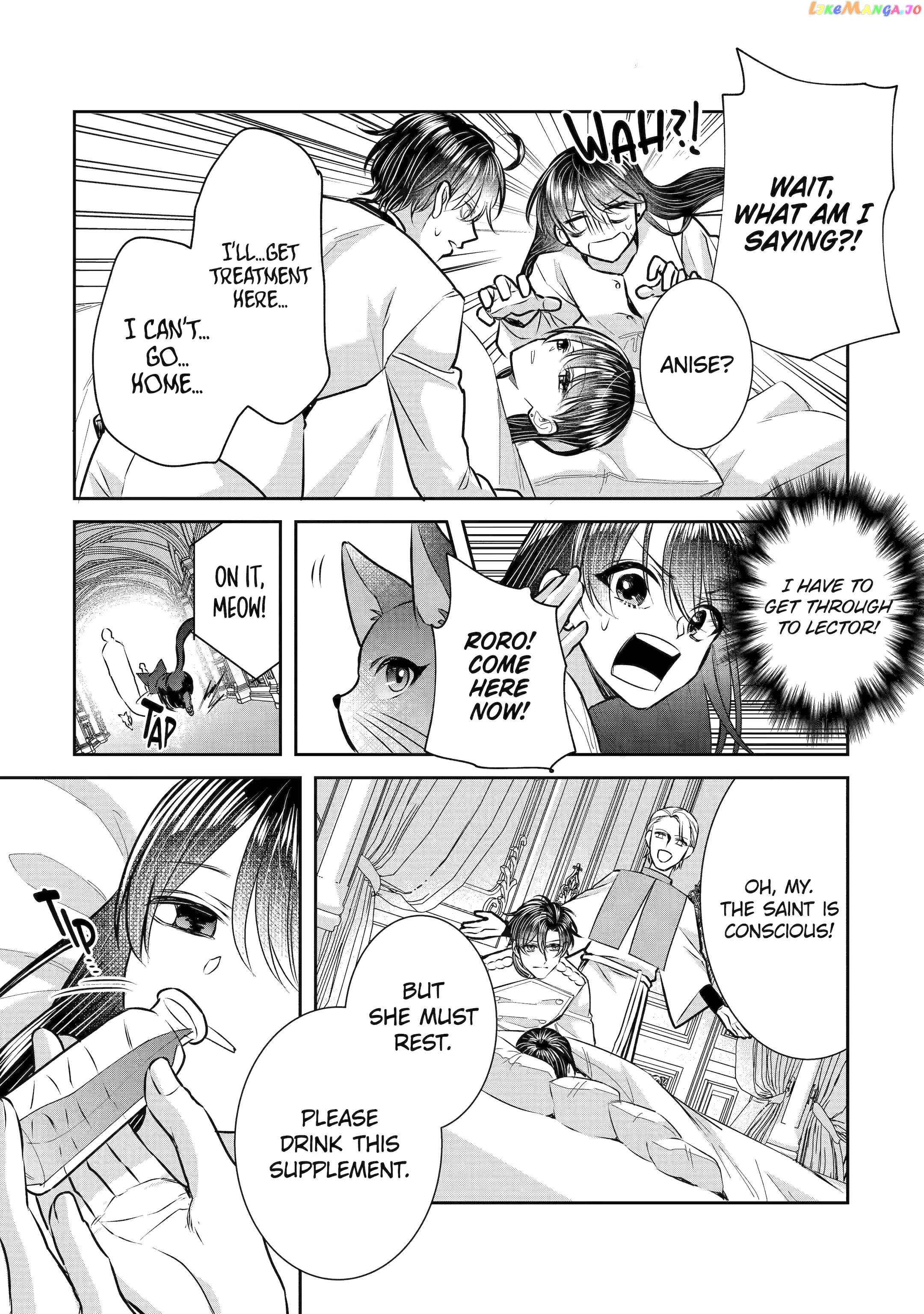 I Was Summoned to Be a Saint, but Was Robbed of the Position chapter 31 - page 28