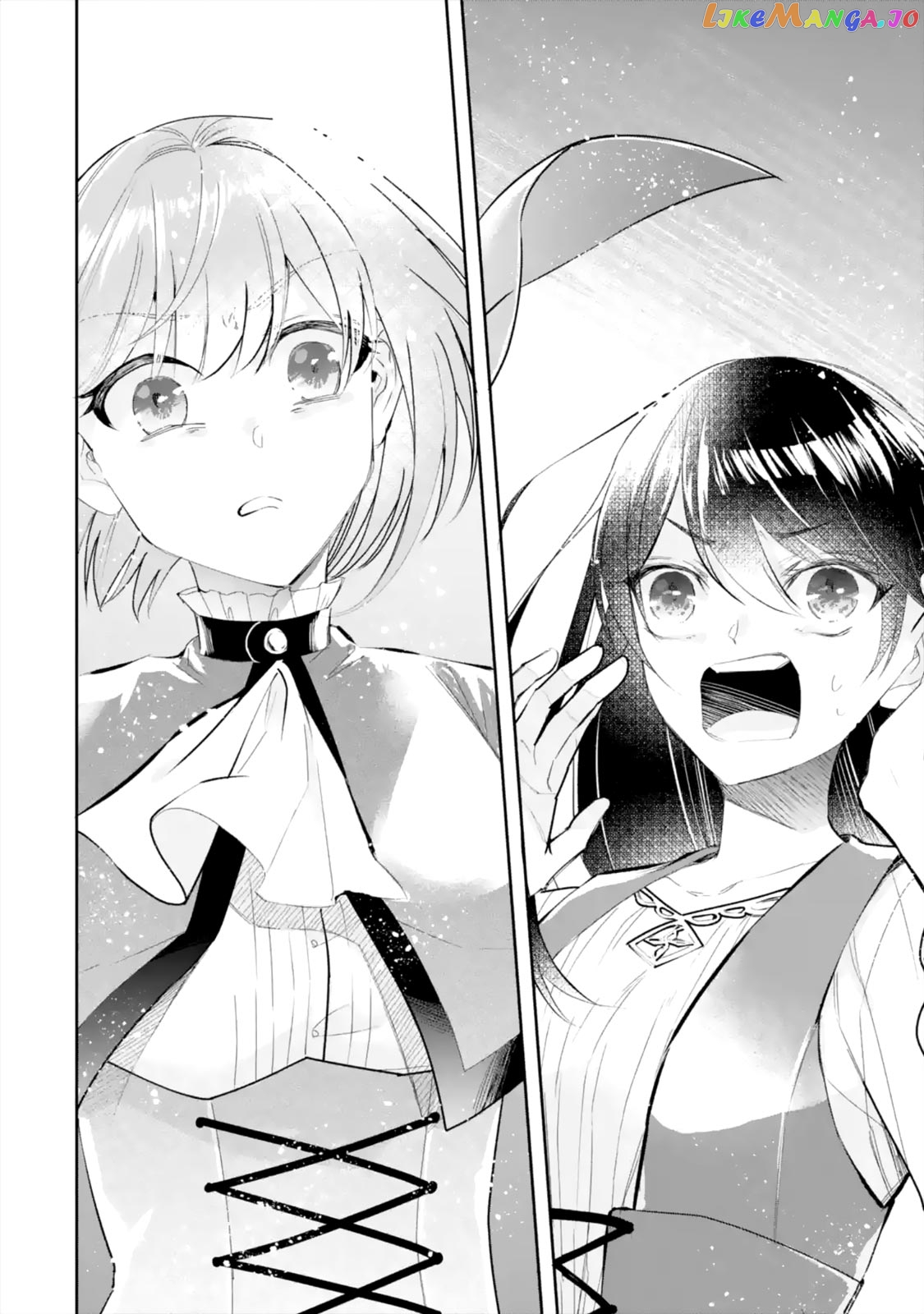 I Was Summoned to Be a Saint, but Was Robbed of the Position chapter 6.2 - page 5