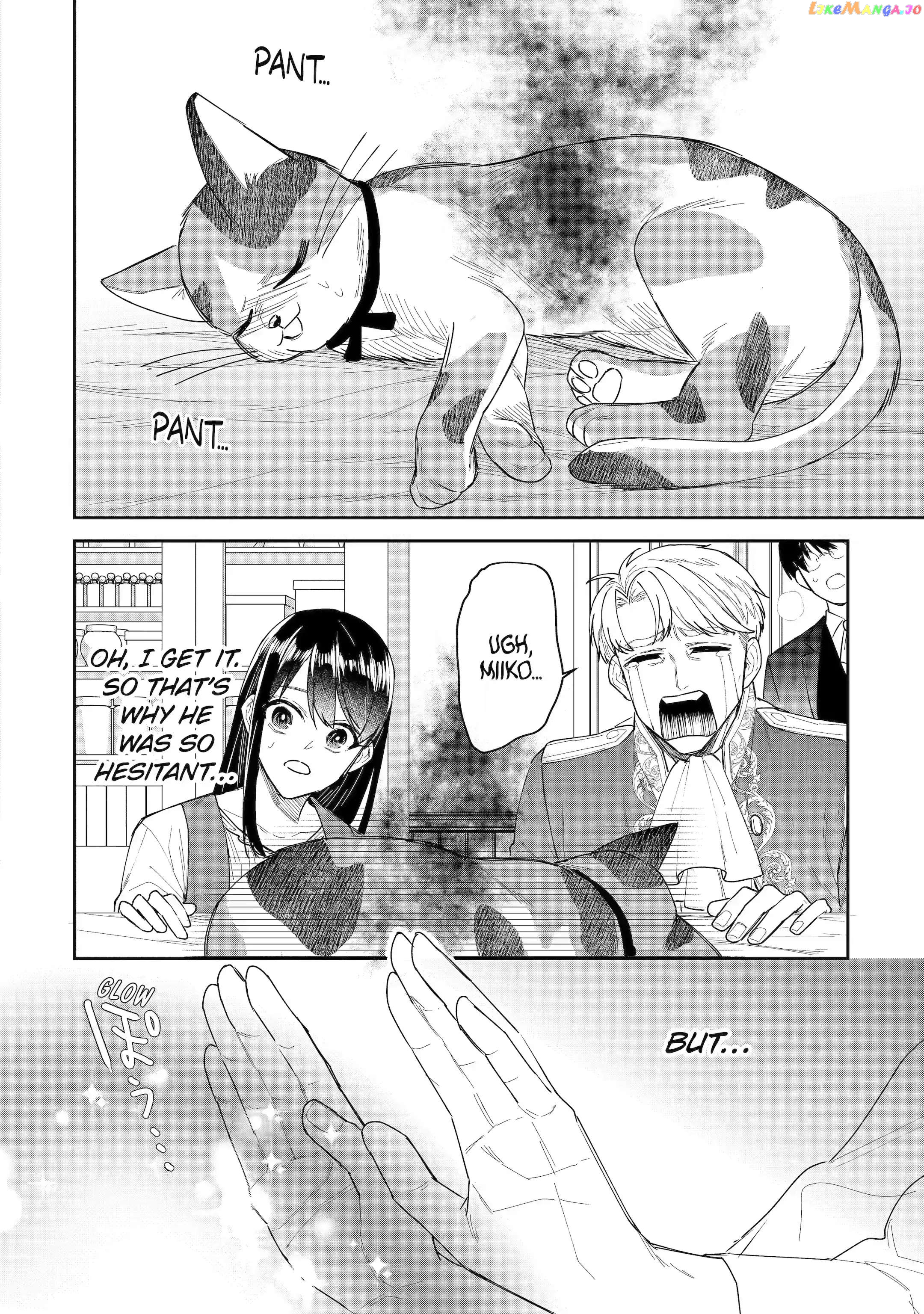 I Was Summoned to Be a Saint, but Was Robbed of the Position chapter 28.2 - page 9