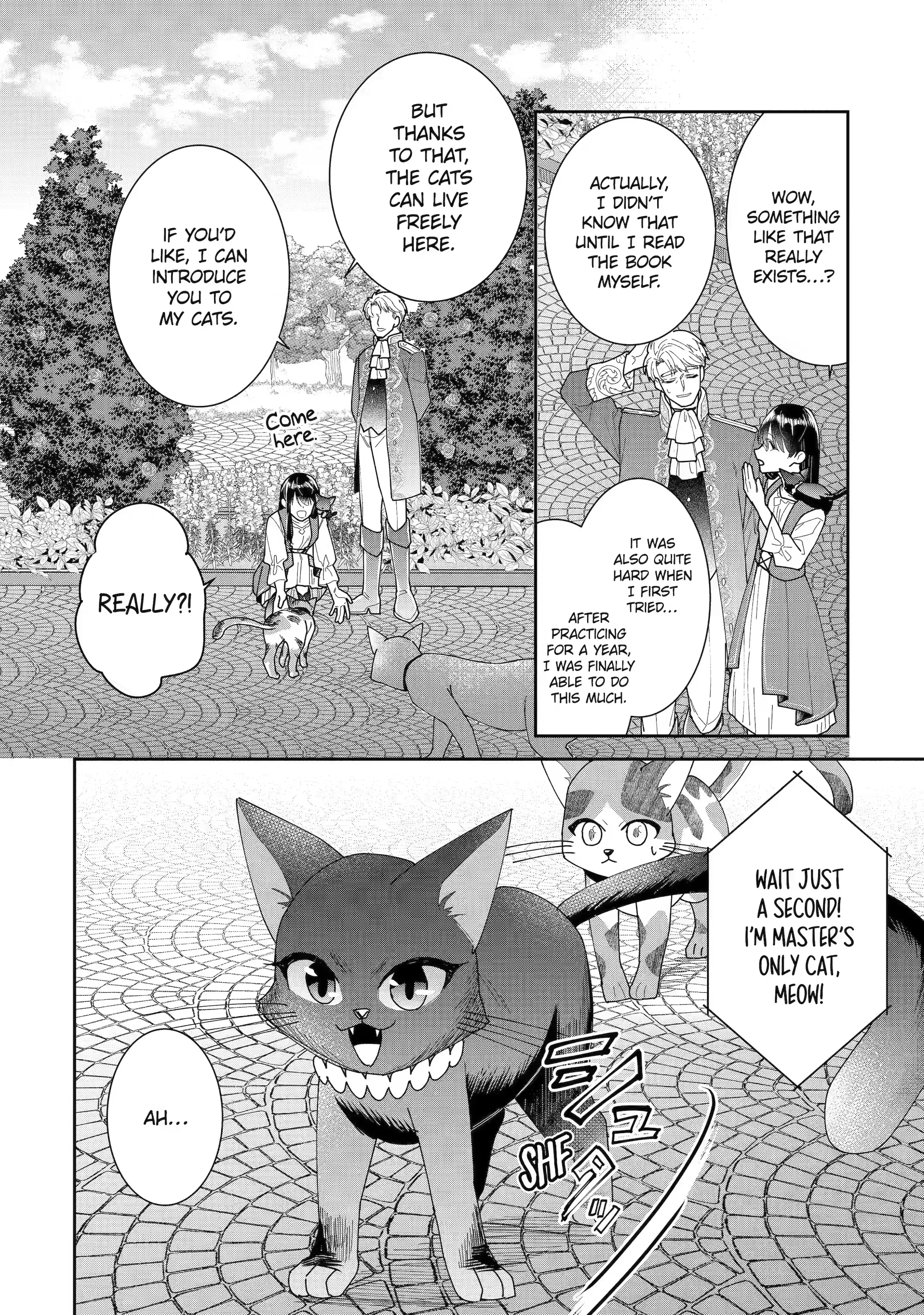 I Was Summoned to Be a Saint, but Was Robbed of the Position chapter 28.3 - page 10