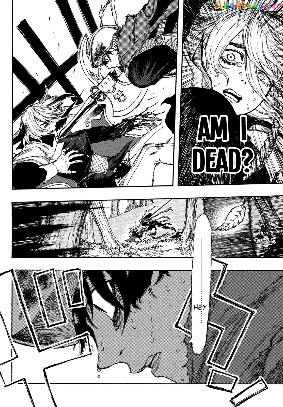 What Do You Wish For With Those Murky Eyes: Record Of Highserk War chapter 2 - page 29
