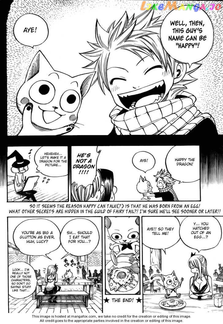 Fairy Tail chapter 55.5 - page 22