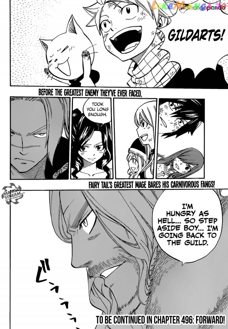 Fairy Tail chapter 495 - page 24