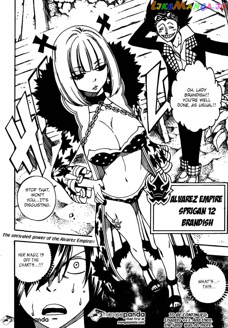 Fairy Tail chapter 442 - page 20