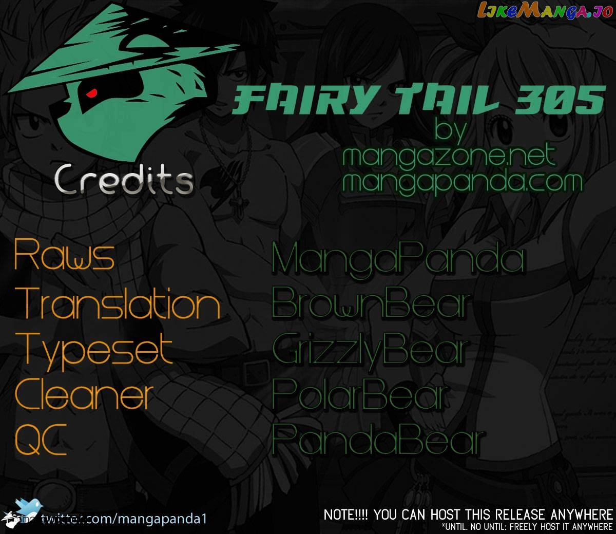 Fairy Tail chapter 305 - page 25