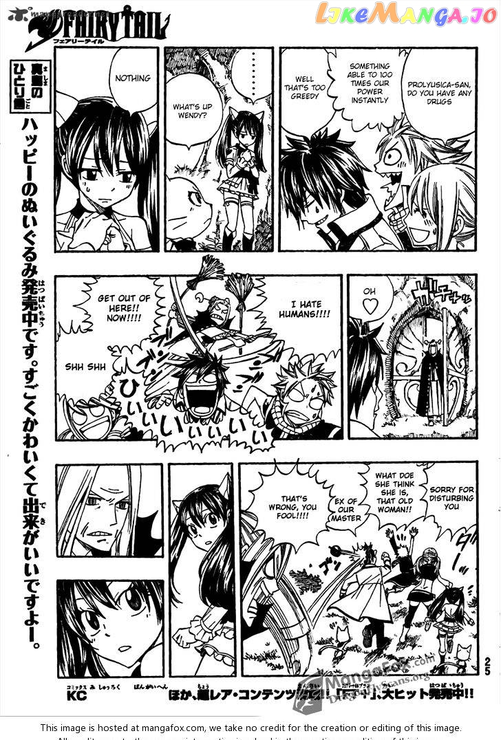 Fairy Tail chapter 259 - page 12