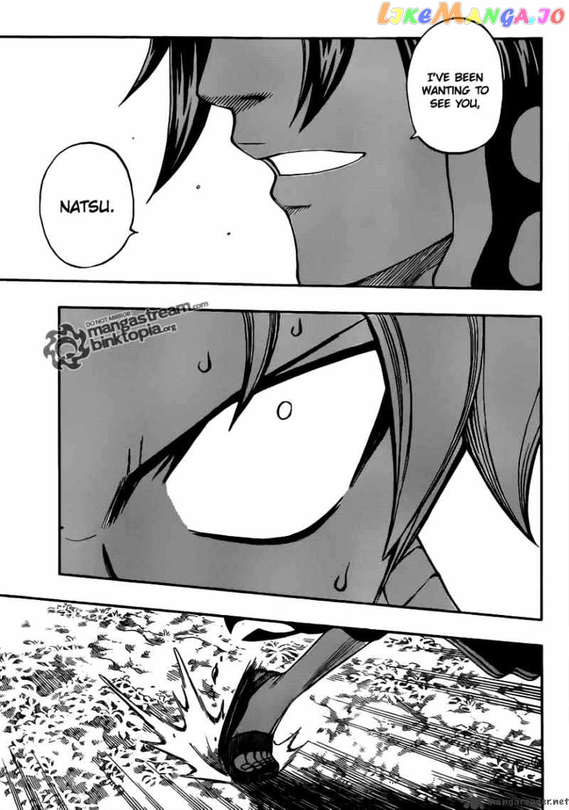 Fairy Tail chapter 209 - page 5
