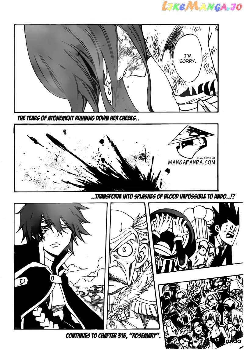 Fairy Tail chapter 314 - page 22