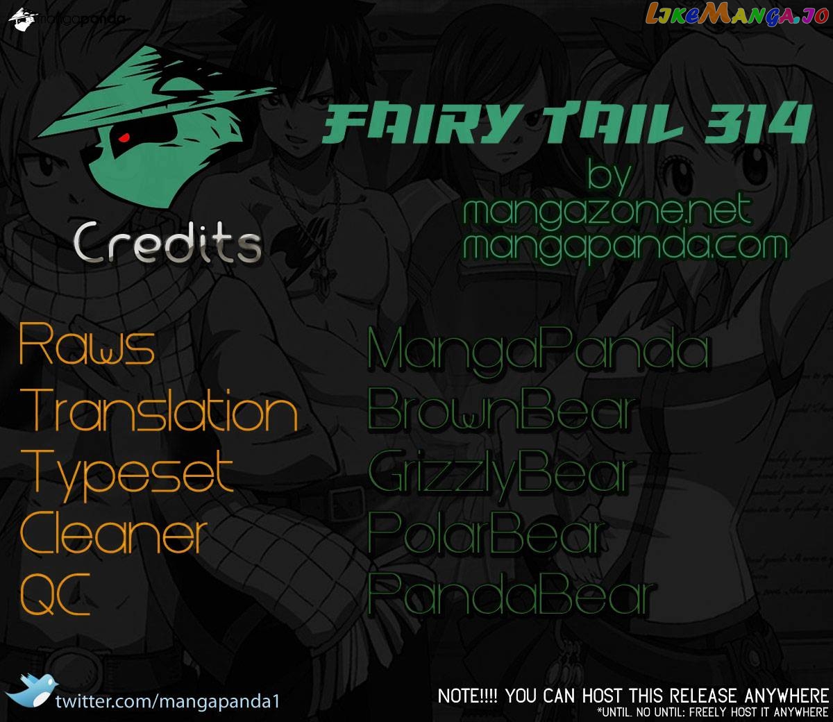 Fairy Tail chapter 314 - page 25