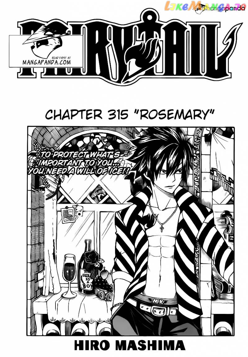 Fairy Tail chapter 315 - page 3