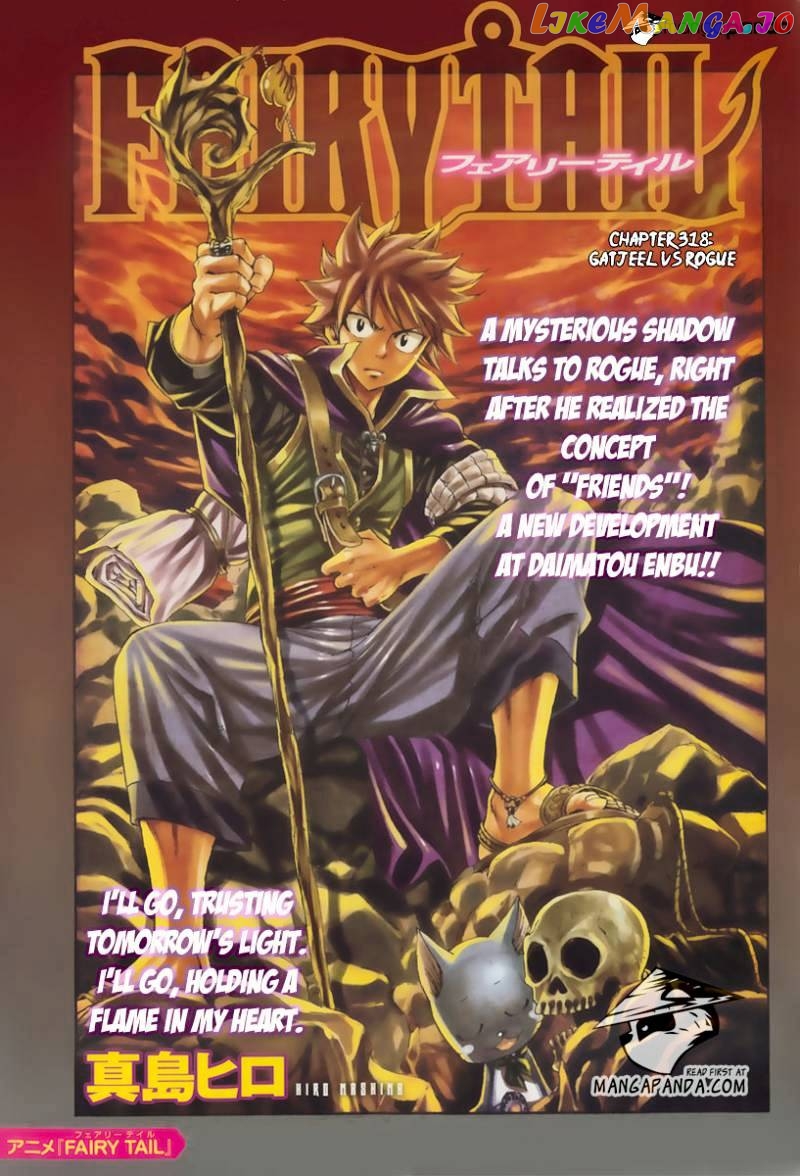 Fairy Tail chapter 318 - page 3