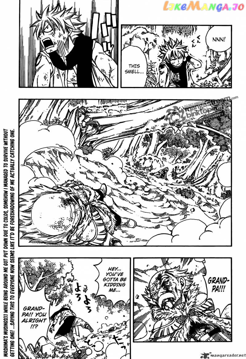 Fairy Tail chapter 218 - page 12