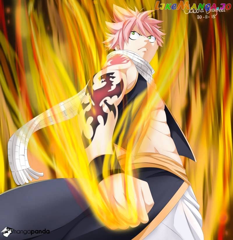 Fairy Tail chapter 466 - page 24