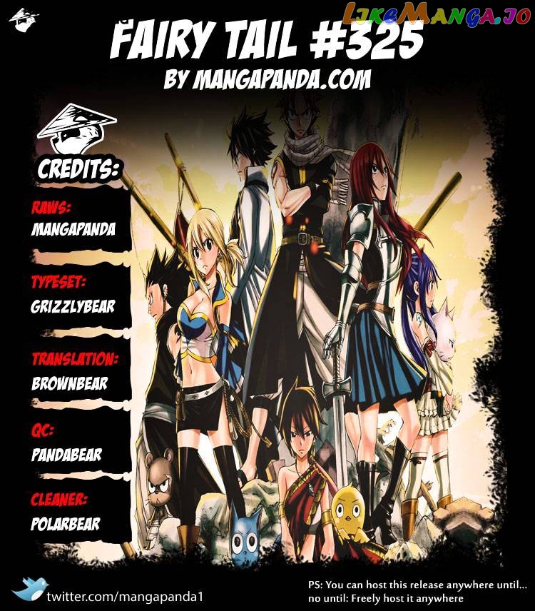 Fairy Tail chapter 325 - page 24