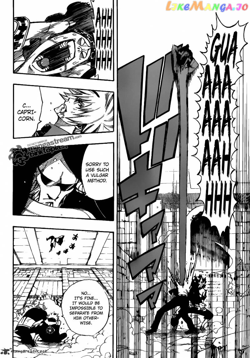 Fairy Tail chapter 224 - page 13
