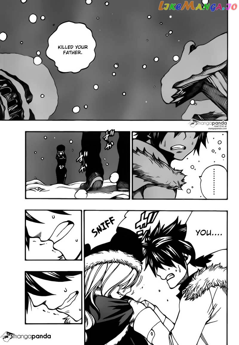 Fairy Tail chapter 416 - page 13