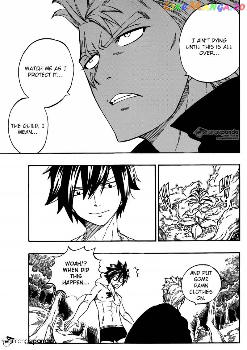 Fairy Tail chapter 471 - page 10
