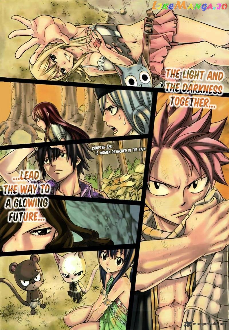 Fairy Tail chapter 228 - page 3