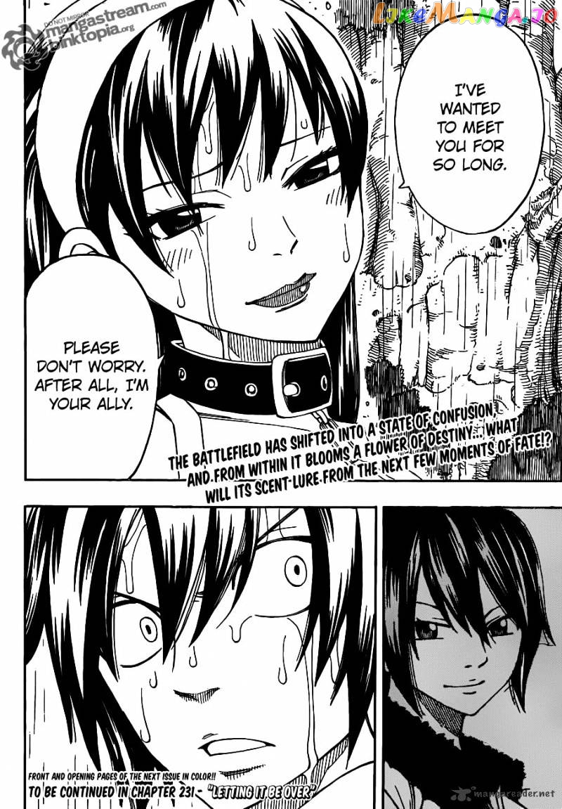 Fairy Tail chapter 230 - page 20