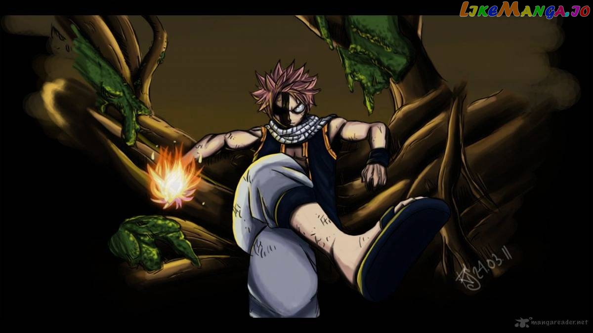 Fairy Tail chapter 230 - page 23