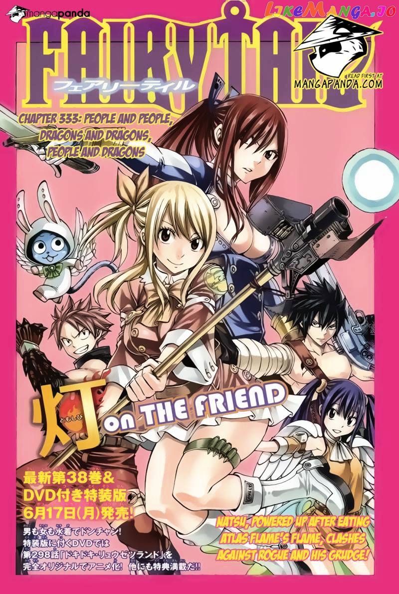 Fairy Tail chapter 333 - page 3