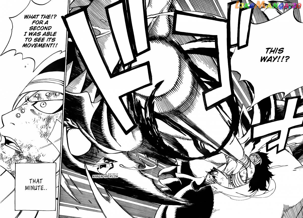 Fairy Tail chapter 335 - page 20