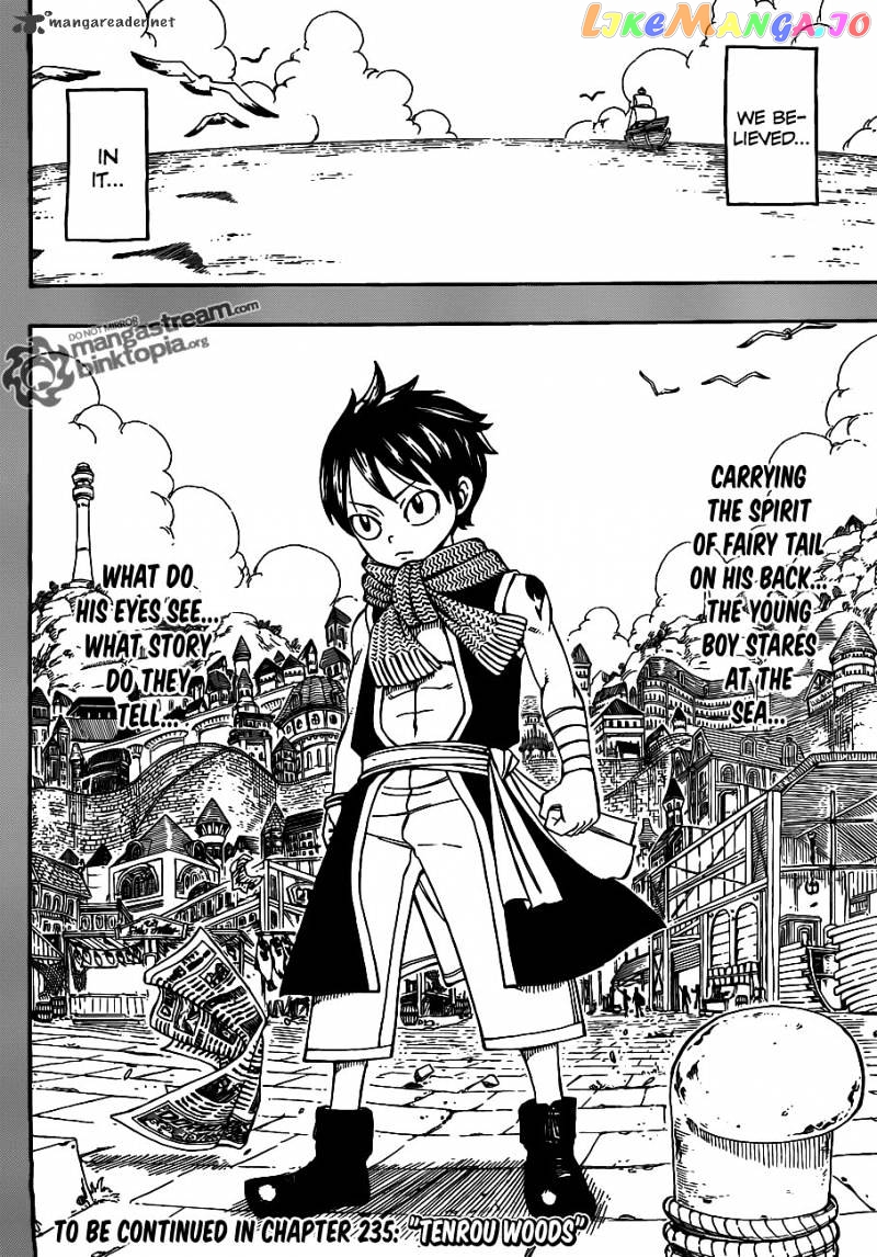 Fairy Tail chapter 234 - page 19
