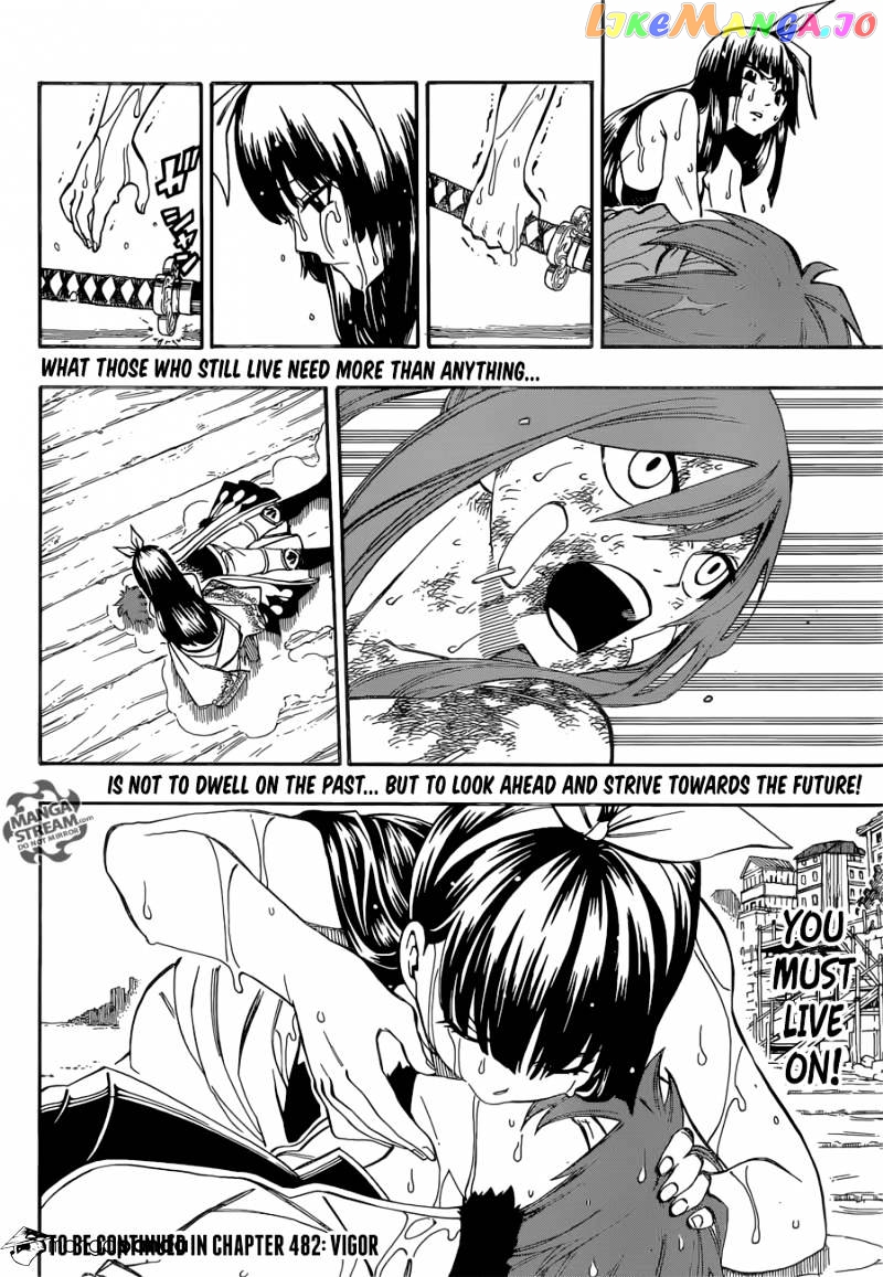 Fairy Tail chapter 481 - page 22